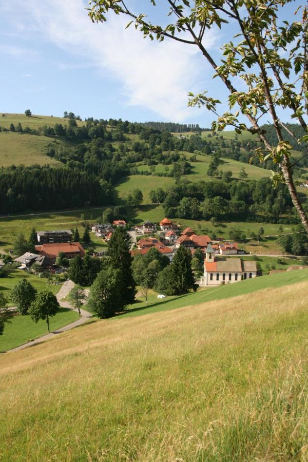 Gaestehaus Sonnhalde Виден Экстерьер фото